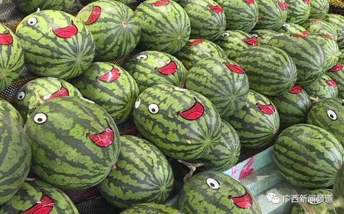 亚洲精品最大成人吃瓜黑料