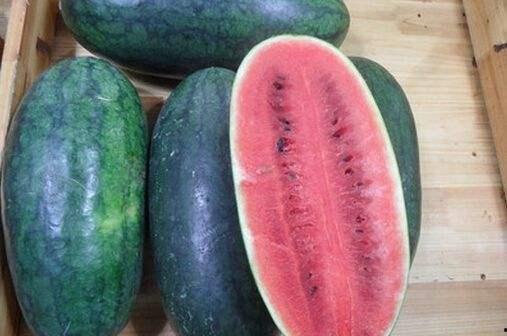 双反差黑料吃瓜正能量